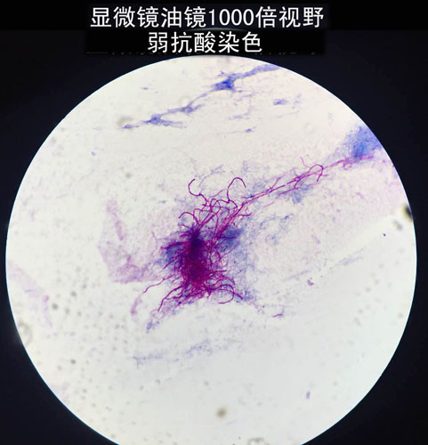 2 副本副本.jpg
