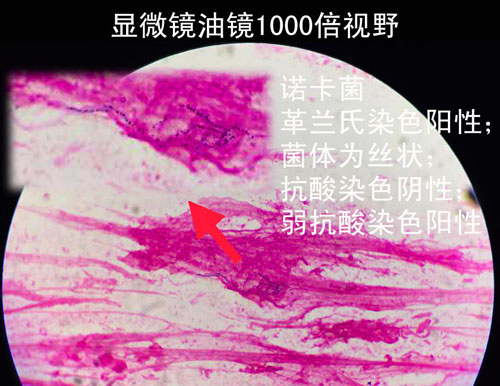 1 副本副本.jpg