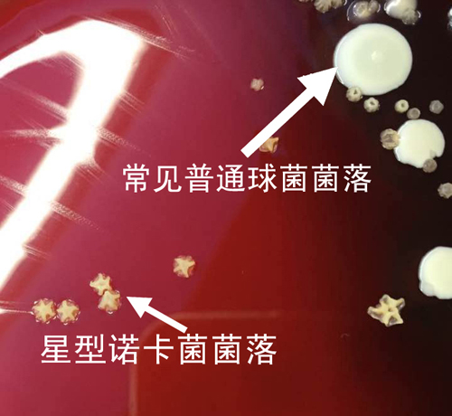 3 副本副本.jpg